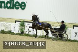 24BUCK_01449 proof