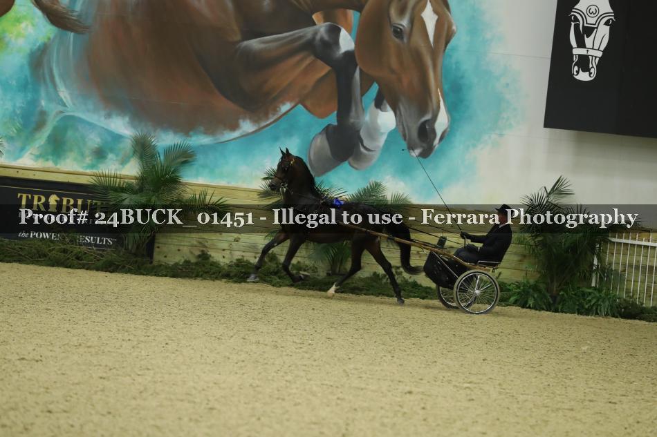 Proof 24BUCK_01451