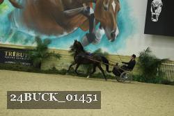 24BUCK_01451 proof