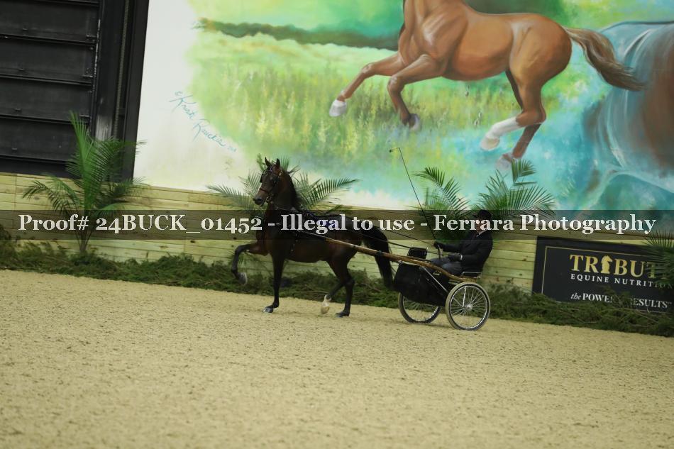 Proof 24BUCK_01452