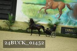 24BUCK_01452 proof