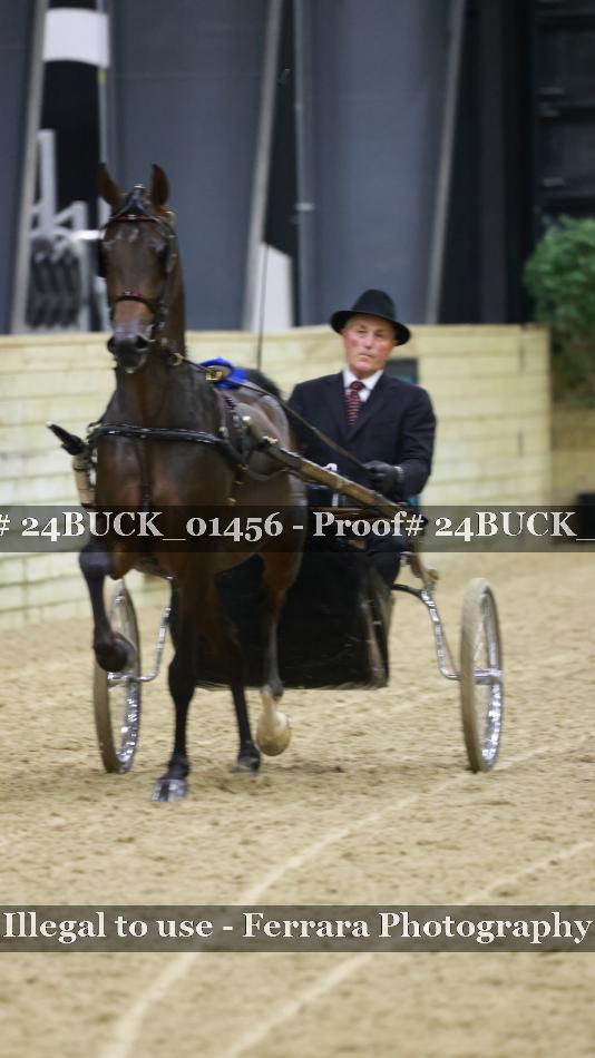 Proof 24BUCK_01456