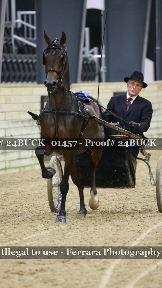 Proof 24BUCK_01457