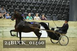 24BUCK_01460 proof