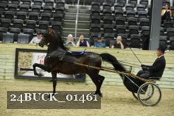 24BUCK_01461 proof
