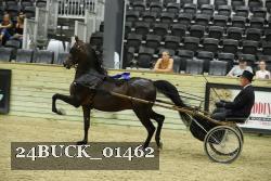 24BUCK_01462 proof