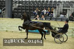 24BUCK_01464 proof