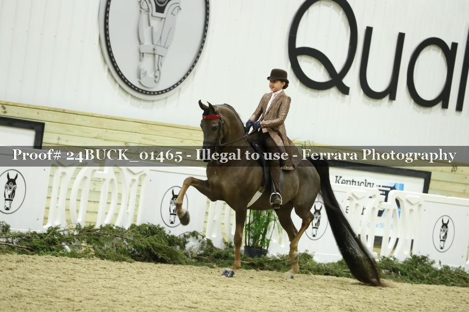Proof 24BUCK_01465