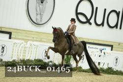 24BUCK_01465 proof