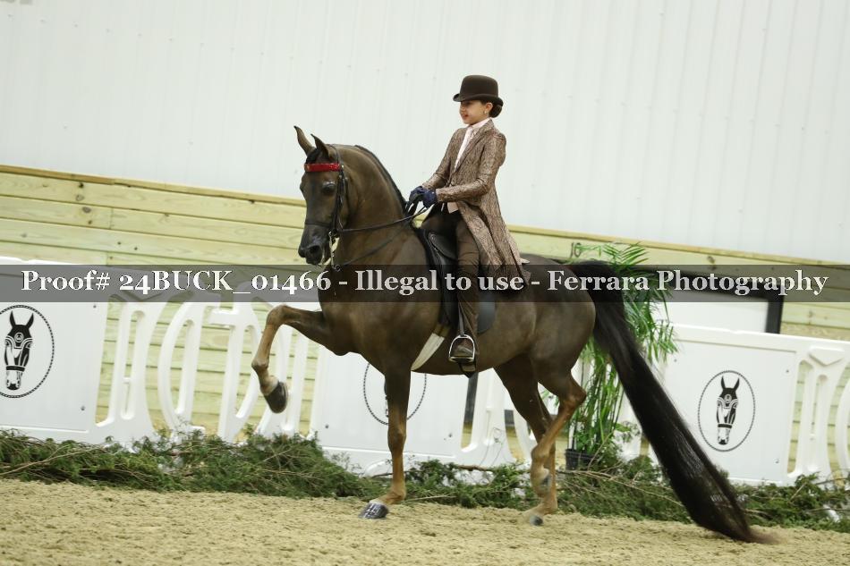 Proof 24BUCK_01466