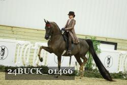 24BUCK_01466 proof