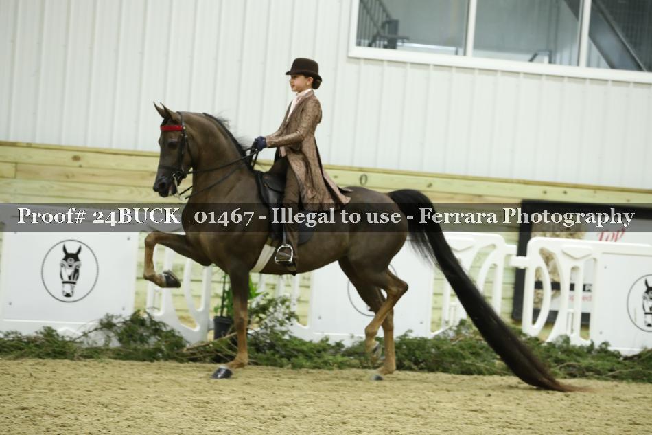 Proof 24BUCK_01467
