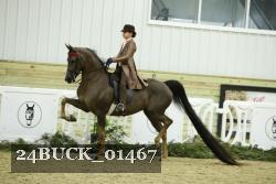 24BUCK_01467 proof