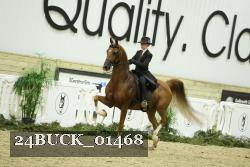 24BUCK_01468 proof