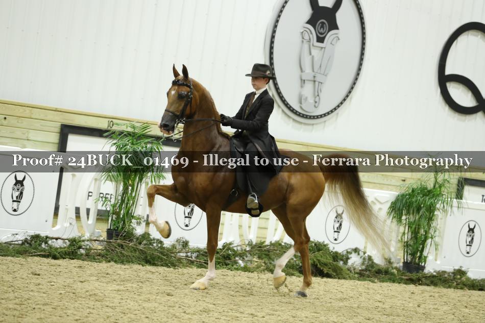 Proof 24BUCK_01469
