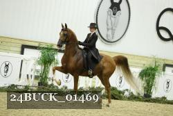 24BUCK_01469 proof
