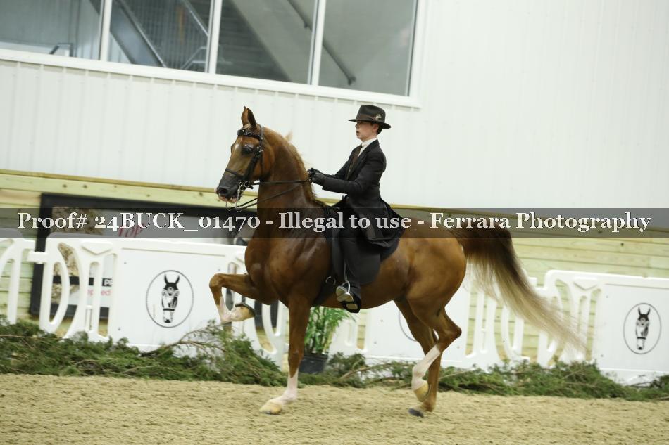 Proof 24BUCK_01470