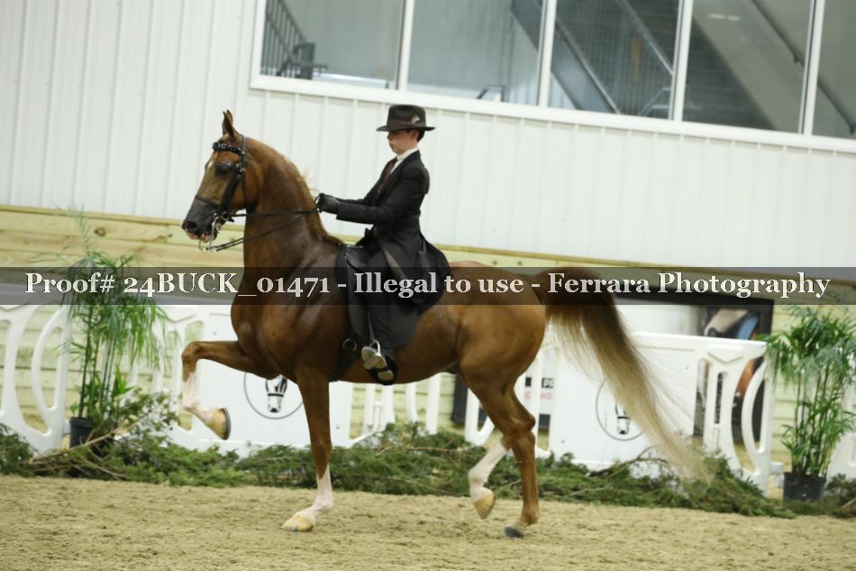 Proof 24BUCK_01471