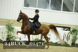 24BUCK_01471 proof