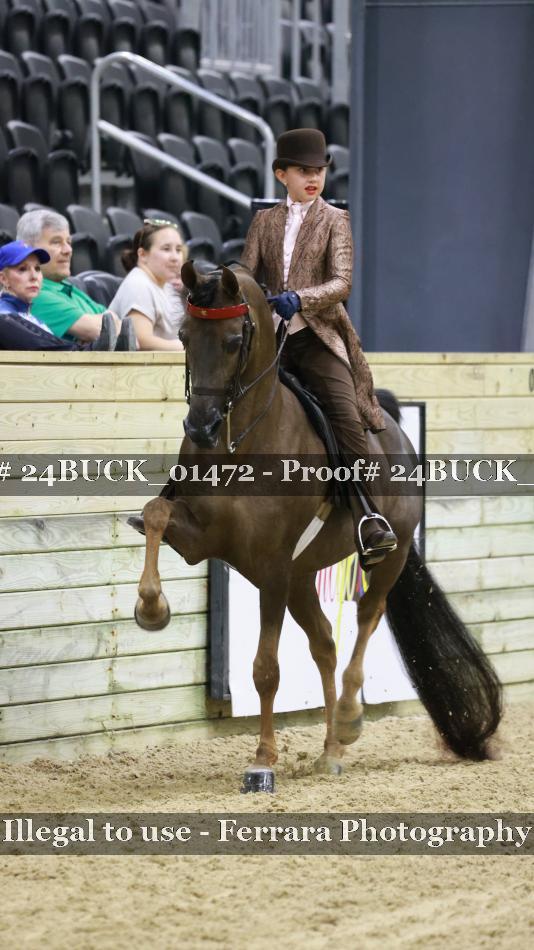 Proof 24BUCK_01472
