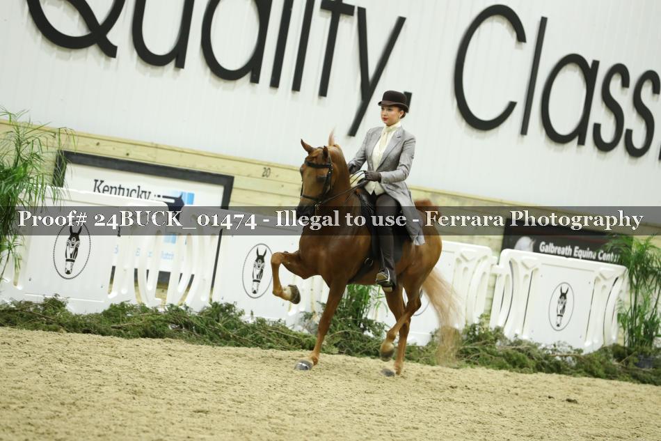 Proof 24BUCK_01474