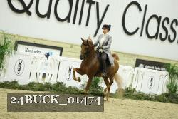 24BUCK_01474 proof