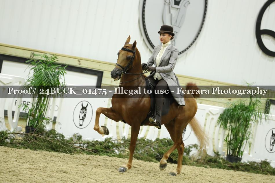 Proof 24BUCK_01475