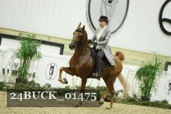 24BUCK_01475 proof