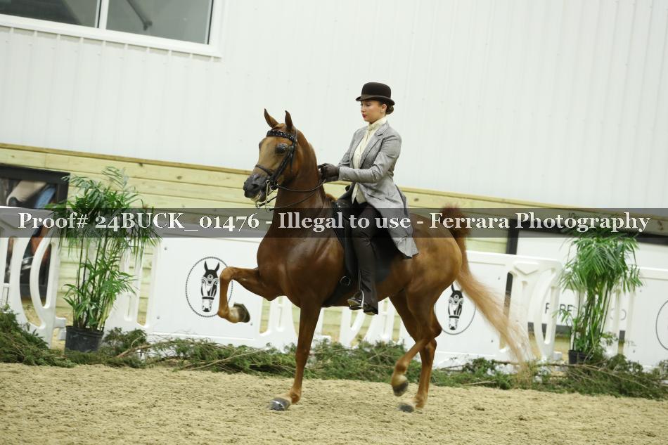 Proof 24BUCK_01476