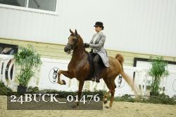 24BUCK_01476 proof