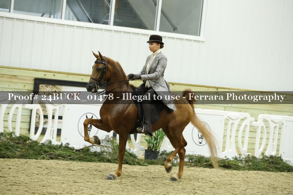 Proof 24BUCK_01478