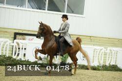 24BUCK_01478 proof