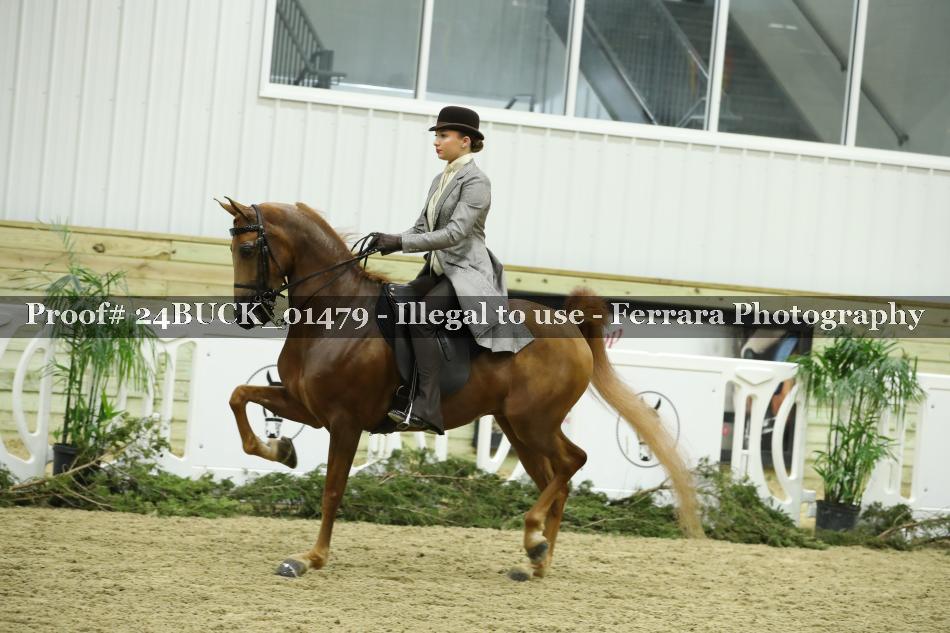 Proof 24BUCK_01479