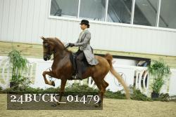 24BUCK_01479 proof
