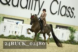 24BUCK_01480 proof