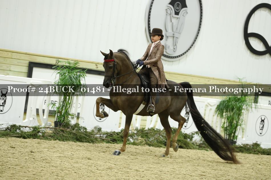 Proof 24BUCK_01481