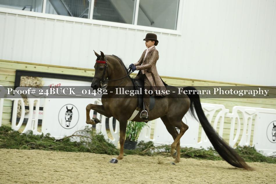 Proof 24BUCK_01482