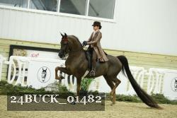 24BUCK_01482 proof