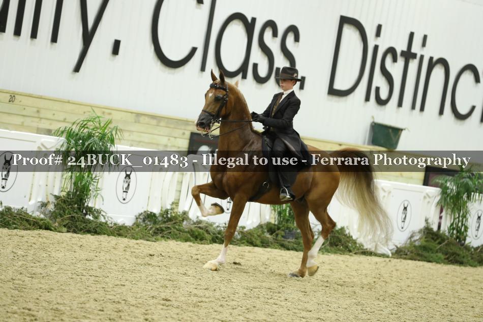 Proof 24BUCK_01483