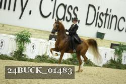24BUCK_01483 proof