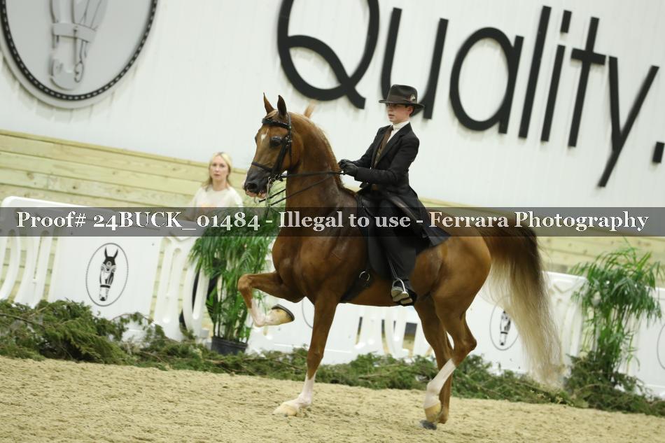 Proof 24BUCK_01484