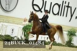 24BUCK_01484 proof