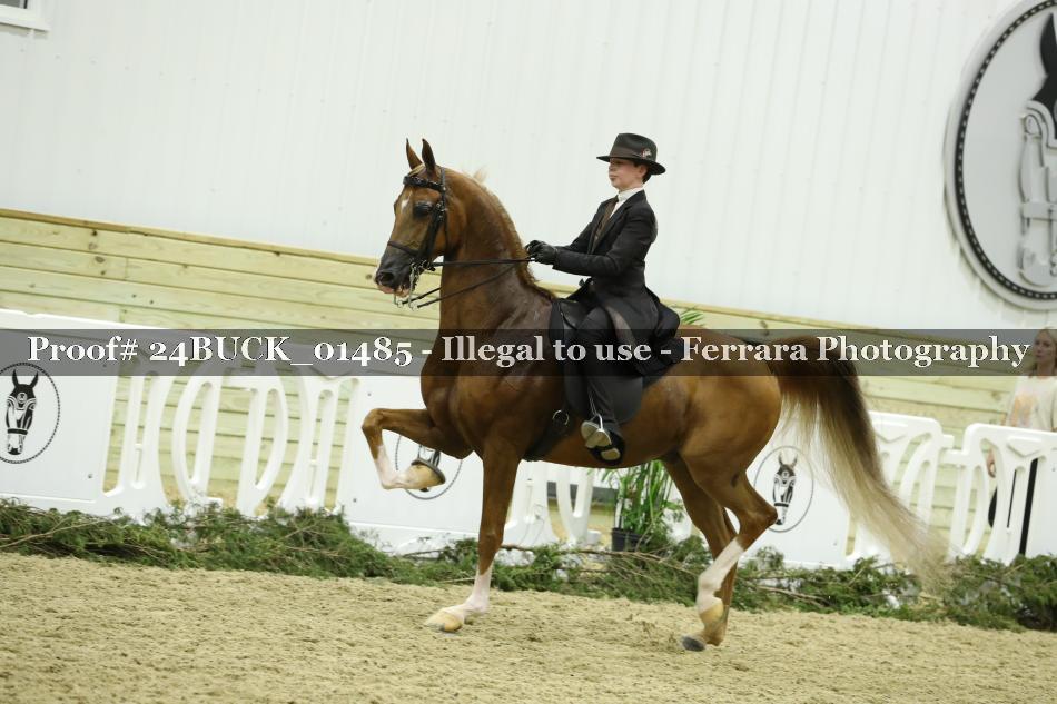 Proof 24BUCK_01485