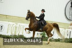 24BUCK_01485 proof