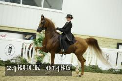 24BUCK_01486 proof