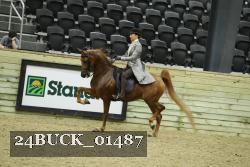 24BUCK_01487 proof