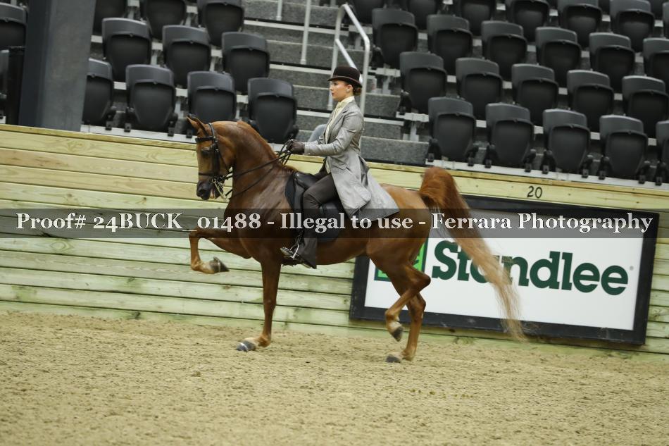 Proof 24BUCK_01488