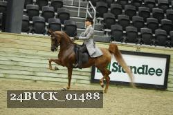 24BUCK_01488 proof