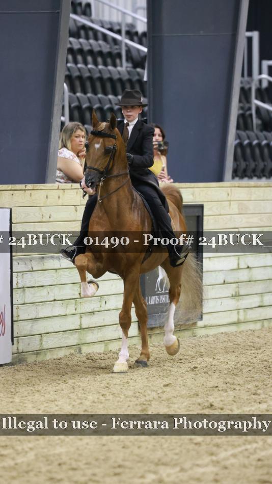 Proof 24BUCK_01490