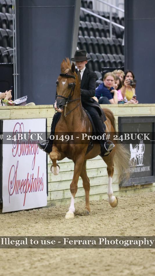 Proof 24BUCK_01491